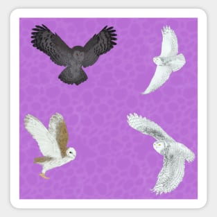 Soaring Owls Purple Sticker